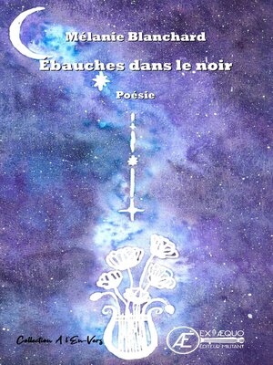 cover image of Ébauches dans le noir